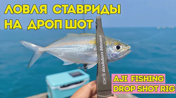 Эта приманка за 10 рублей ловит больше рыбы чем брендовый силикон. Ловля ставриды на дроп шот.