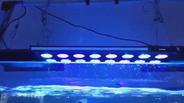 SANRISE revolutionary led aquarium lighting