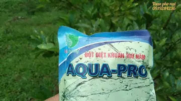 Thử nghiệm sản phẩm trị nấm Aqua-pro đã cho kết quả.